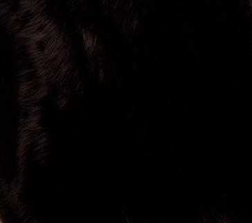 Geneva Jacket Standard Length (4-Row)